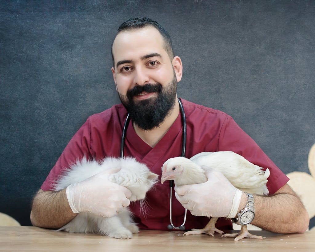 Veterinarian in red scrubs holds a fluffy white kitten and a chicken in a studio setting.